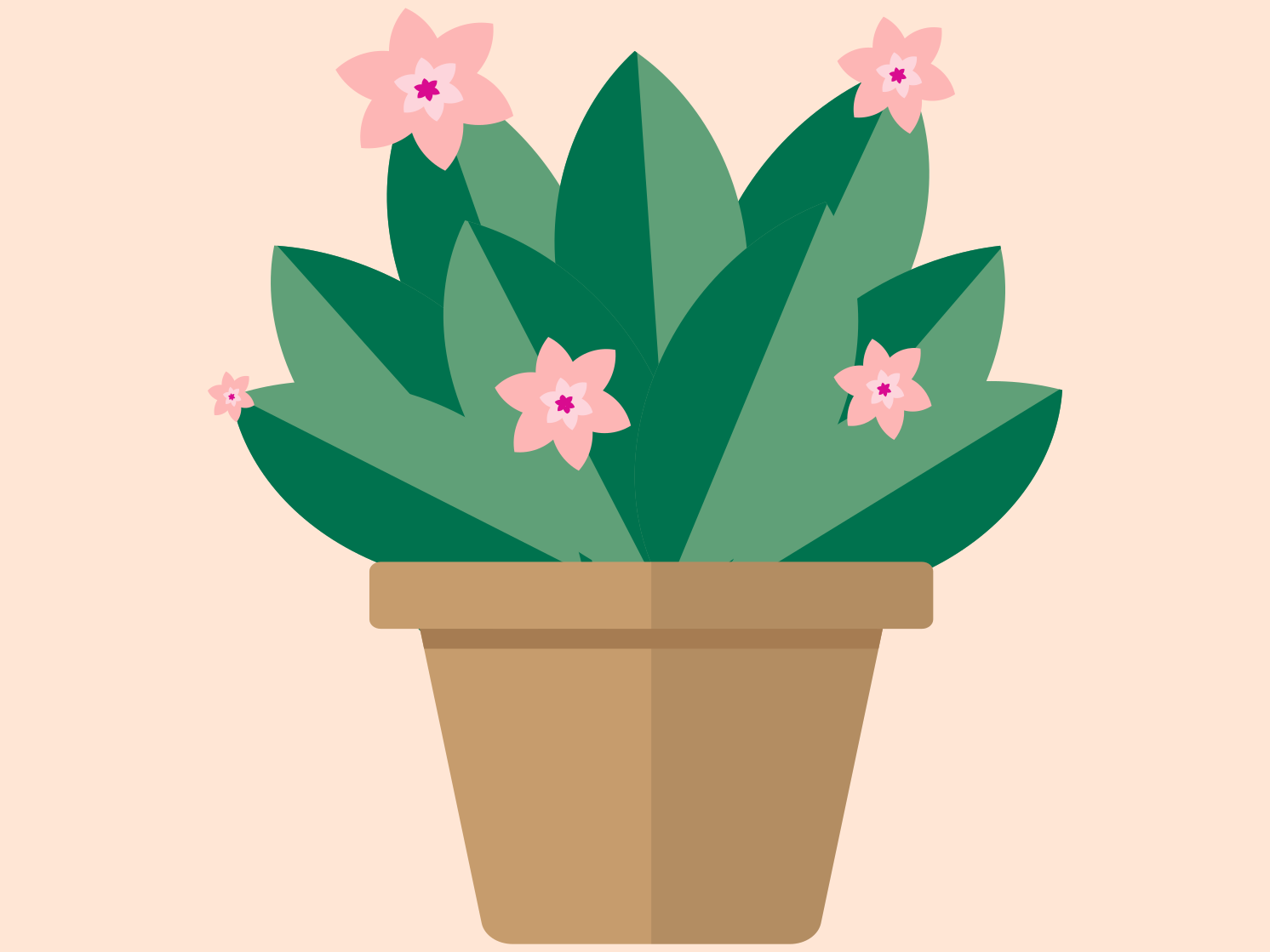 Flower in a pot