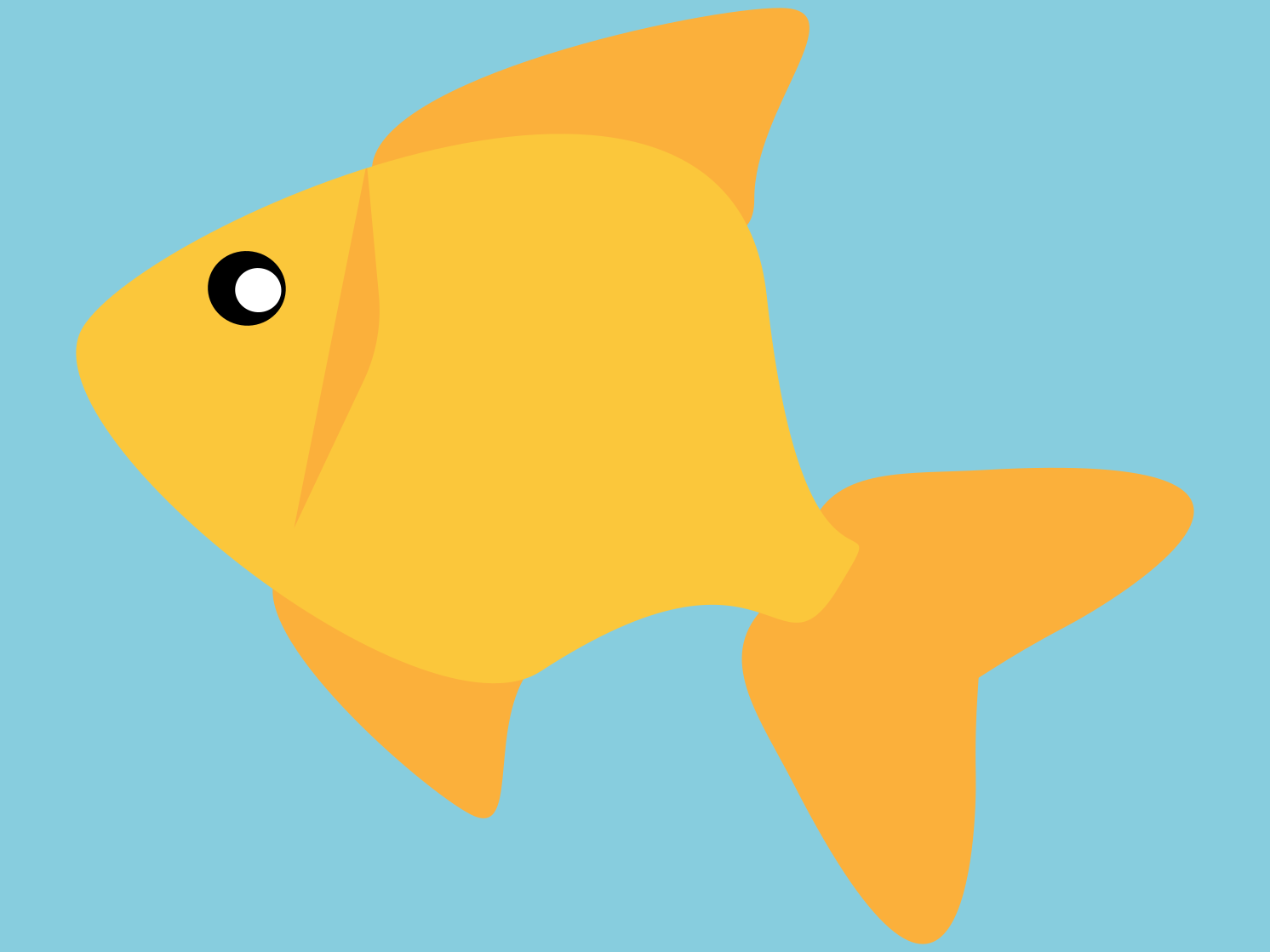 A gold fish