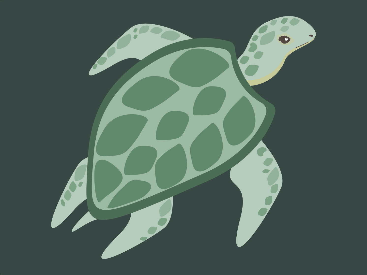 Turtle on dark green background